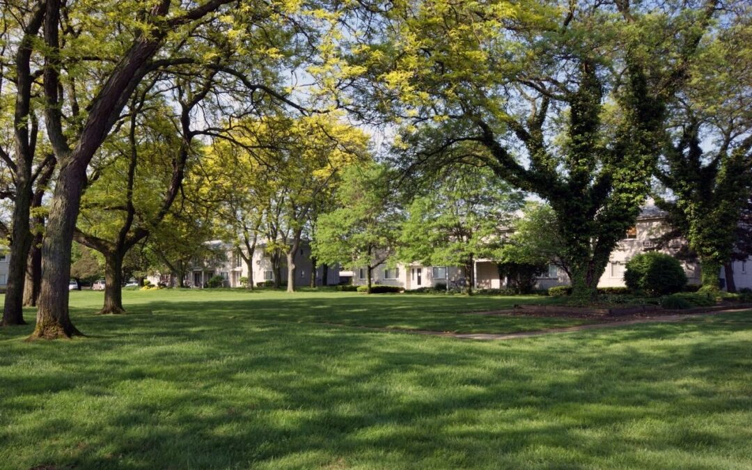 Colony Square Apartments